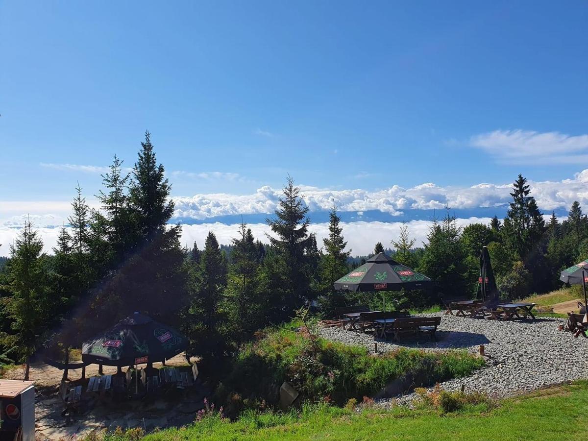Domek W Gorach- Bacowka U Dudka Nowy Targ Exteriör bild