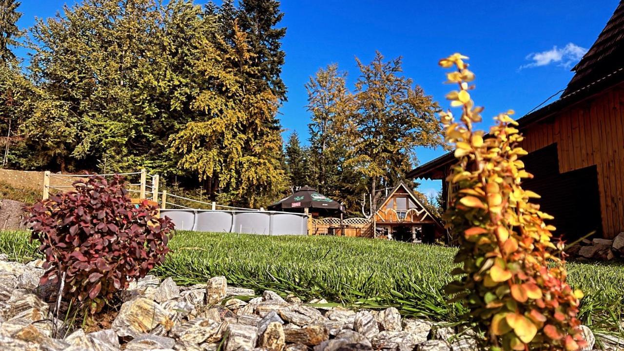 Domek W Gorach- Bacowka U Dudka Nowy Targ Exteriör bild